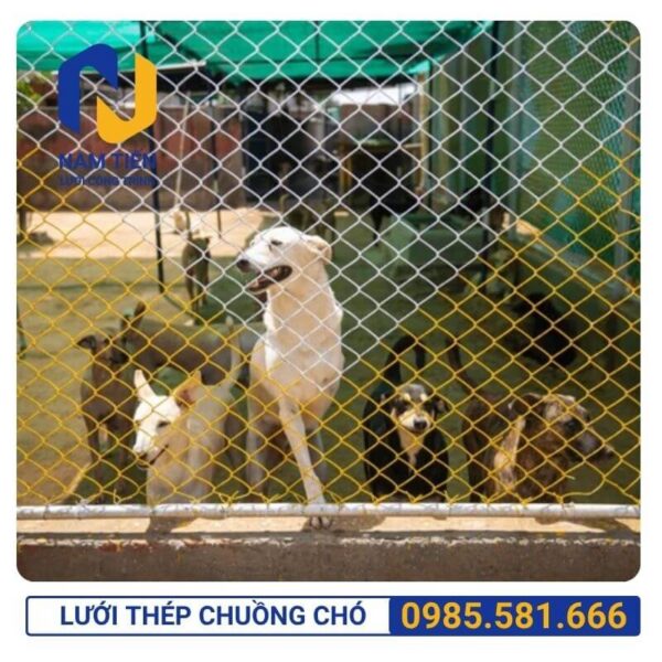 Giá lưới làm chuồng chó
