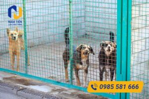 Hướng dẫn thi công chuồng chó