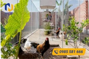 Lưới B40 làm chuồng gà