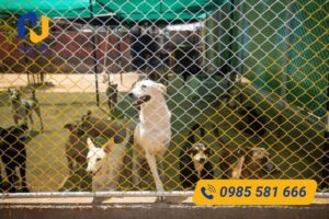 Nam Tiến cung cấp lưới làm chuồng chó