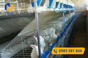 Nam Tiến cung cấp lưới làm chuồng thỏ