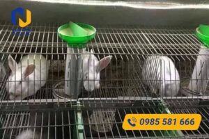 Ứng dụng lưới thép hàn làm chuồng thỏ