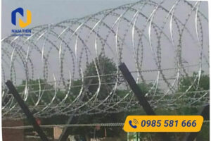 Ứng dụng thực tế kẽm gái lưỡi lam