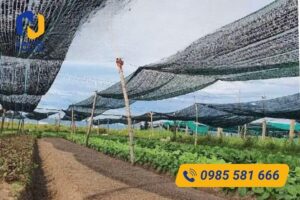 Hướng dẫn căng lưới che nắng