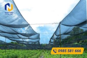 Hướng dẫn lắp đặt lưới 60