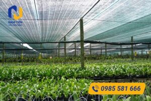 Lưới che nắng Thái Lan dùng để làm gì?