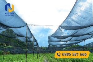 Ứng dụng lưới che nắng Thái Lan 80%